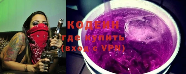 ECSTASY Няндома