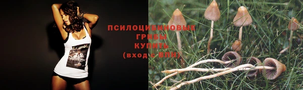 прущие крисы Нягань