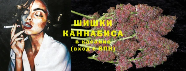 ECSTASY Няндома