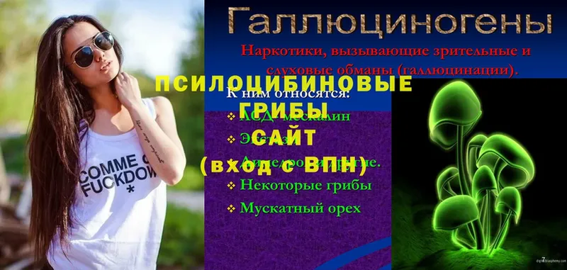 Псилоцибиновые грибы мицелий  где купить   Кыштым 