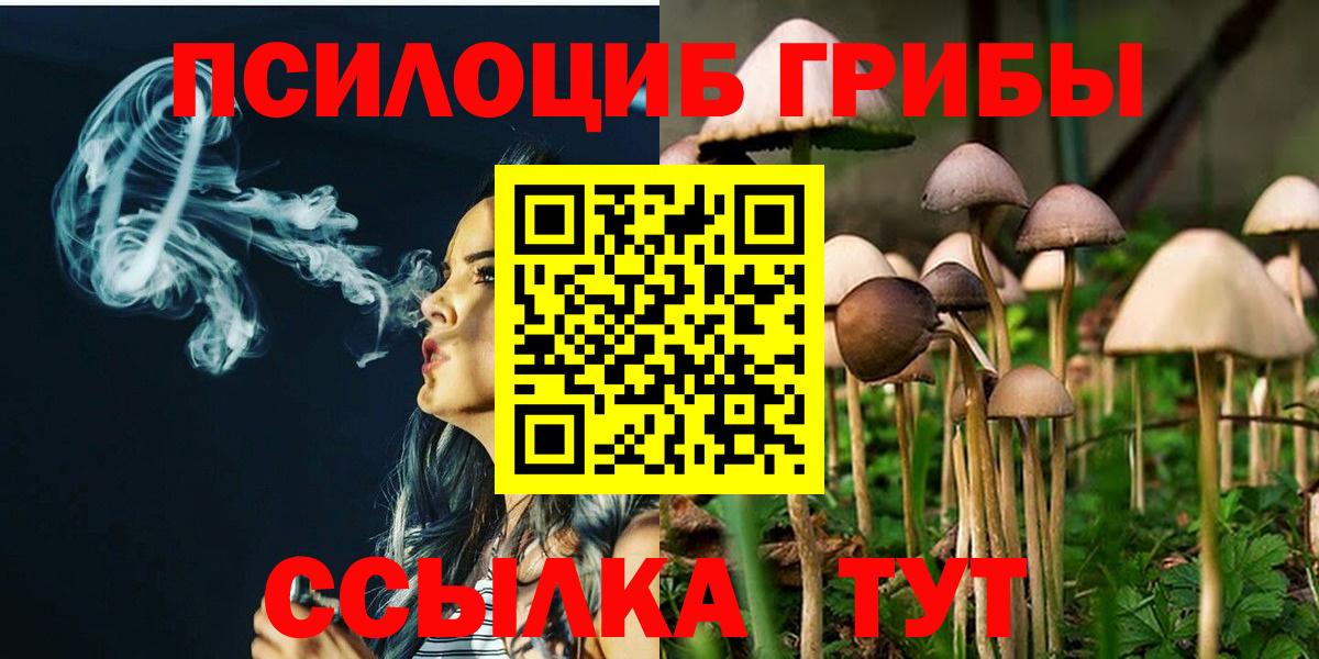 Галлюциногенные грибы GOLDEN TEACHER  Вход с VPN  Кыштым 