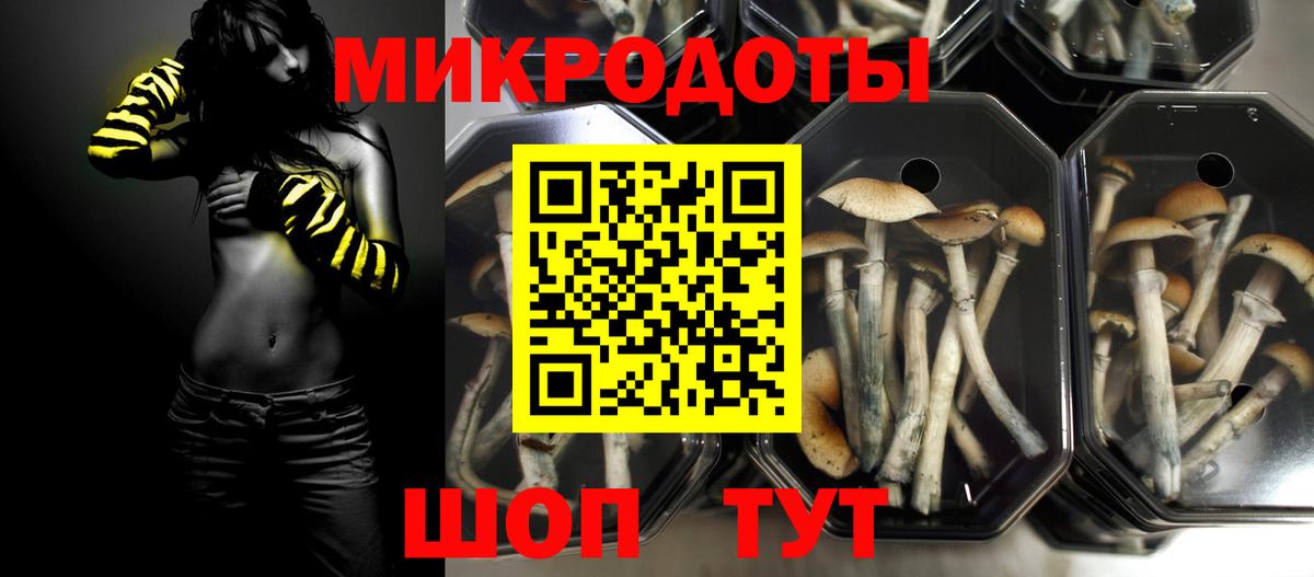 Галлюциногенные грибы ЛСД Кыштым